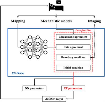 Commentary: EP-PINNs: Cardiac electrophysiology characterisation using physics-informed neural networks